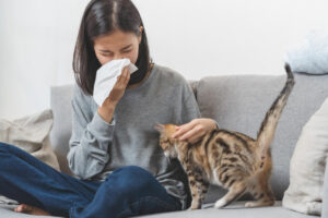 猫　アレルギー