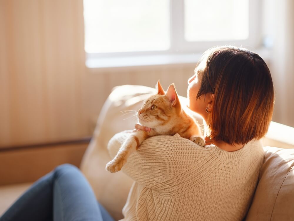 人と猫