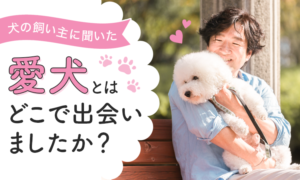 愛犬との出会い