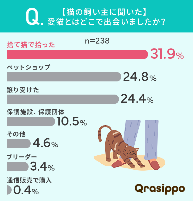 愛猫との出会い