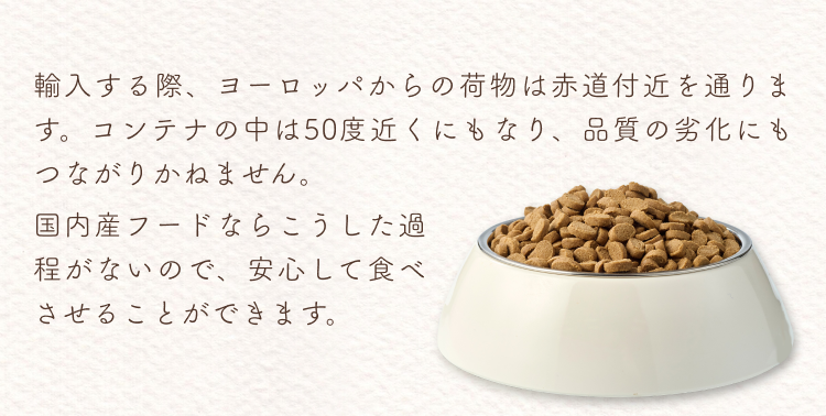 説明文│いぬひかり