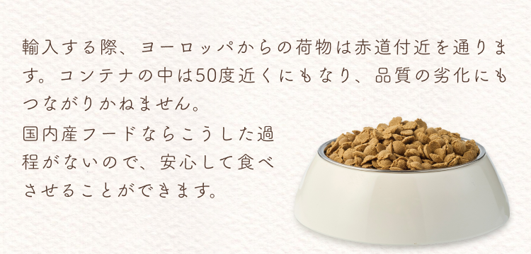 説明文│ねこひかり