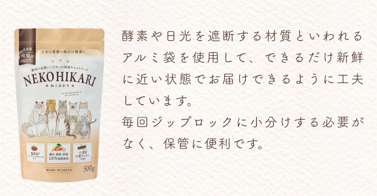 説明文│ねこひかり