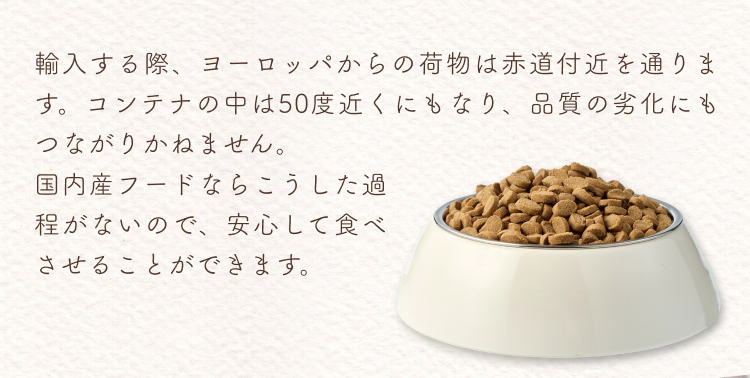 説明文│いぬひかりシニア