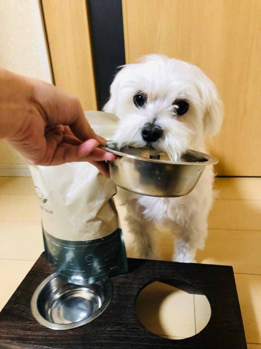 ナチュラルワン│口コミ27│ペットアンドコー