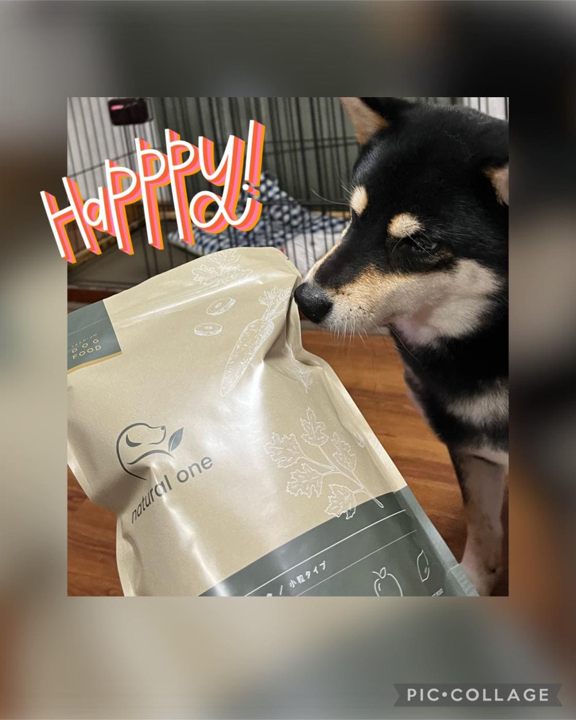 ナチュラルワン│口コミ4│ペットアンドコー