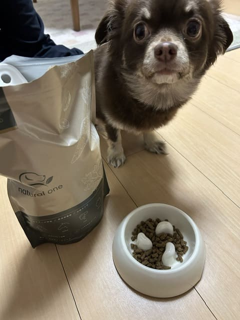 ナチュラルワン│口コミ11│ペットアンドコー