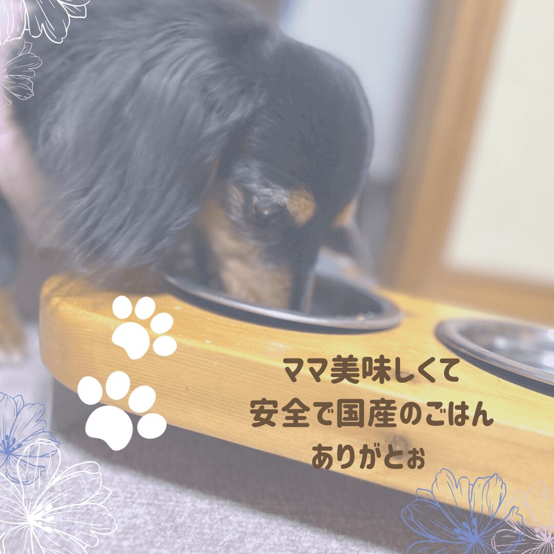 ナチュラルワン│口コミ19│ペットアンドコー