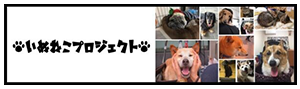 NPO法人いぬねこプロジェクトのロゴ│ペットアンドコーの寄付支援先