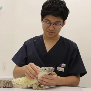 監修者：堀田 大揮 所属：獣医師、YouTuber