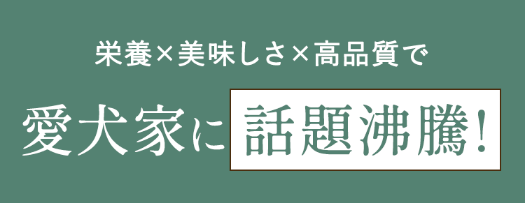 愛犬家に話題沸騰！
