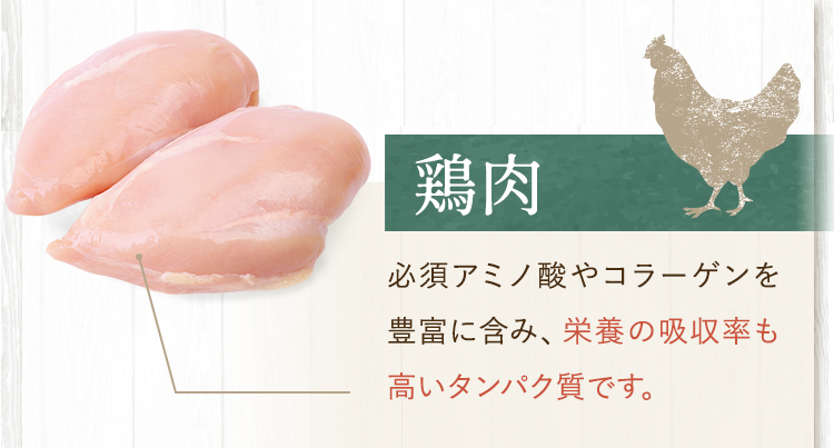 鶏肉
