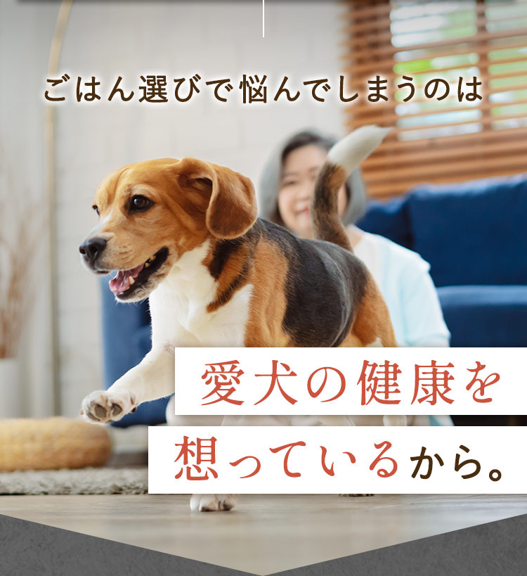 ごはん選びで悩んでしまうのは愛犬の健康を想っているから。
