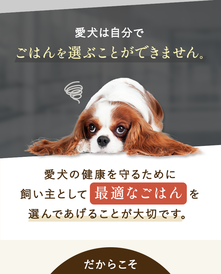 最適なごはんを選んであげることが大切です。