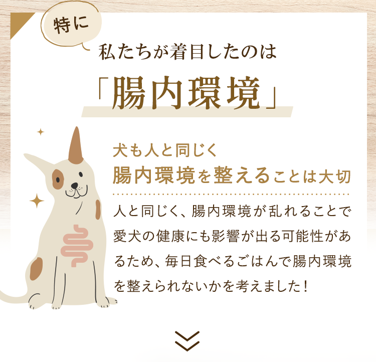 犬も人と同じく腸内環境を整えることは大切