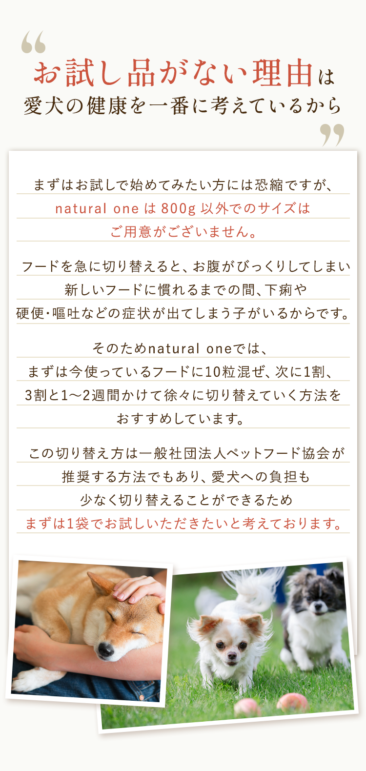 お試し品がない理由は愛犬の健康を一番に考えているから