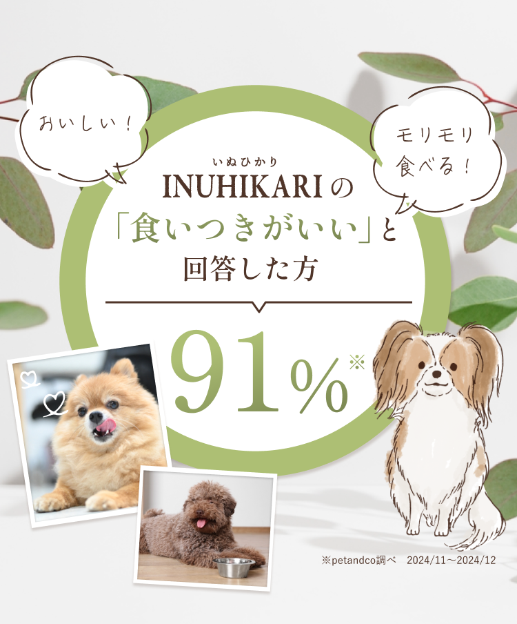 INUHIKARI（いぬひかり）の「食いつきが良い」と回答した方91%