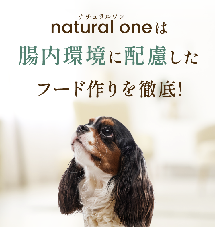 natural one（ナチュラルワン）腸内環境に配慮したフード作りを徹底！