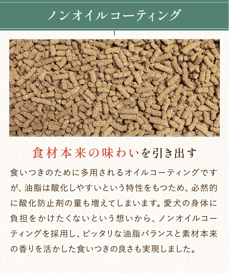 ノンオイルコーティング