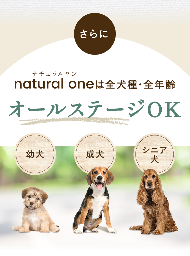 natural one（ナチュラルワン）はオールステージOK