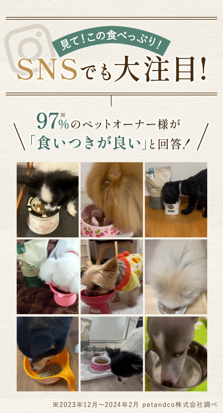 natural one（ナチュラルワン）97%のペットオーナー様が「食いつきがいい」と回答！