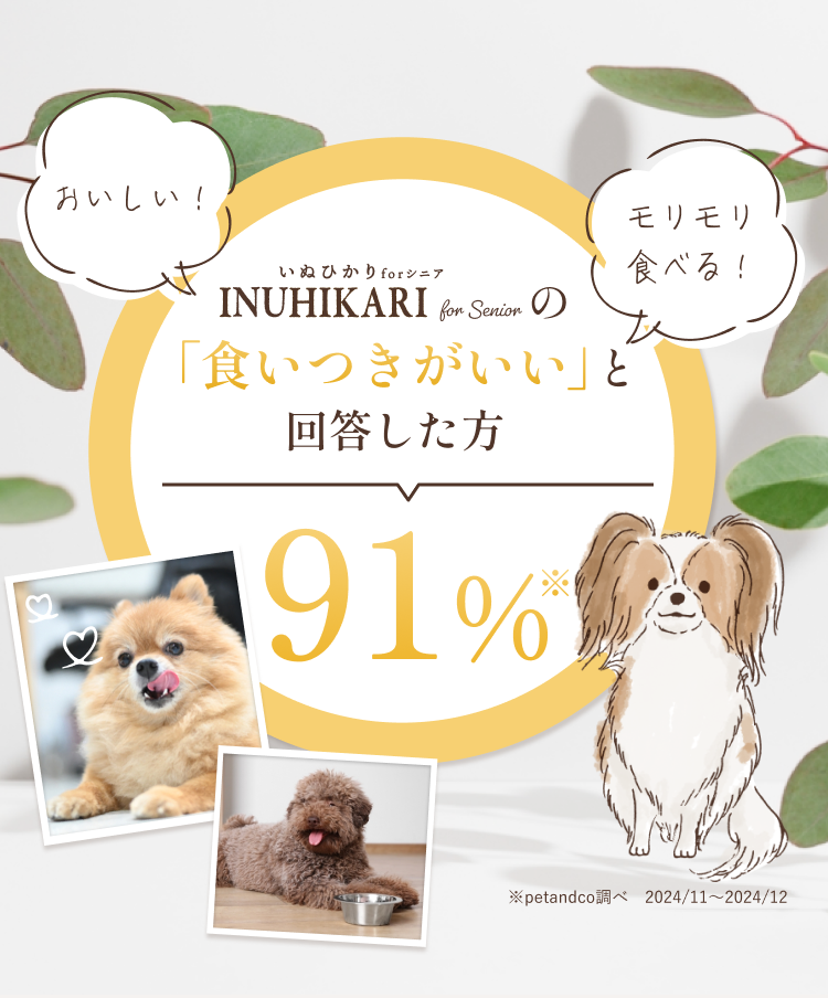 INUHIKARI for Senior（いぬひかりシニア）の「食いつきが良い」と回答した方91%